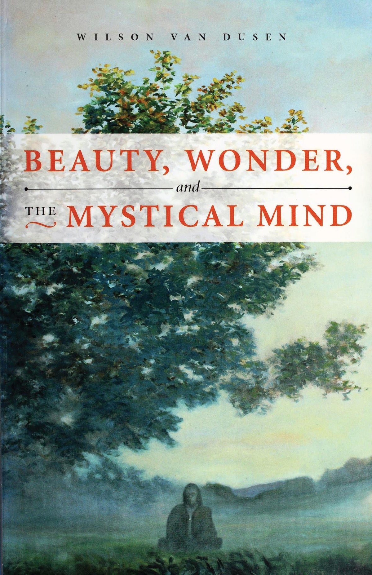 Beauty, Wonder, and the Mystical Mind